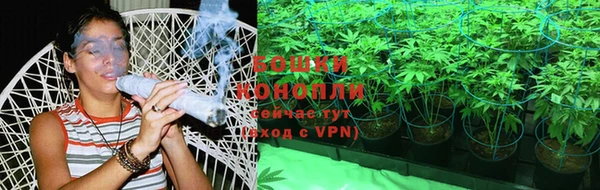 молекула духа Осташков