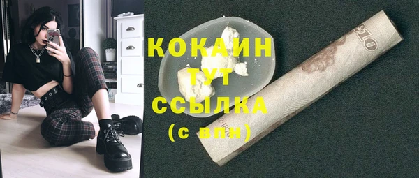молекула духа Осташков