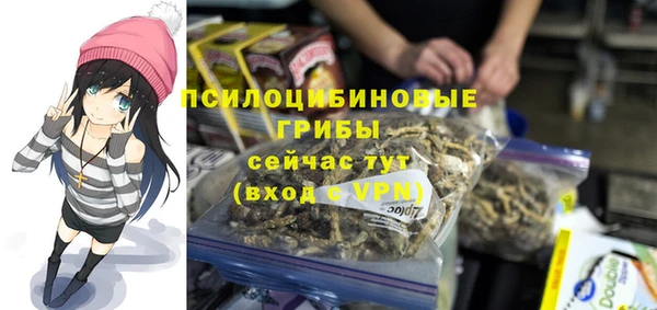крисы Абинск