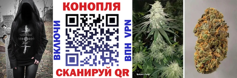 Бошки марихуана Amnesia  Екатеринбург 